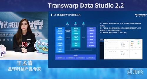 星环科技基础软件全面升级 关系型分布式数据库性能实现翻倍